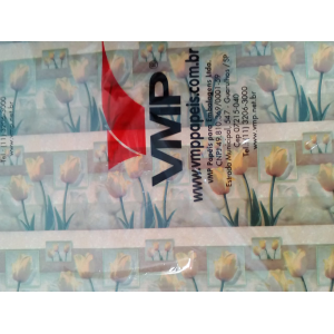 P COUCHE 50X60 C/20FL TULIPA REF20415693 VMP