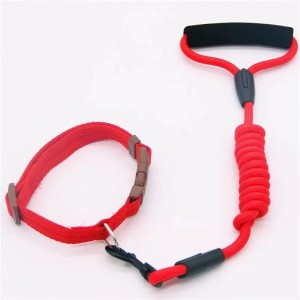 GUIA 0,8CM COLOR PARA PETS ZN0934