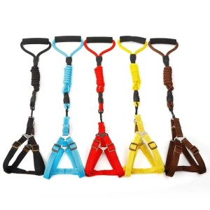 Guia Colorido para Pets ZN0062 - Estilo e Conforto para Passeios!